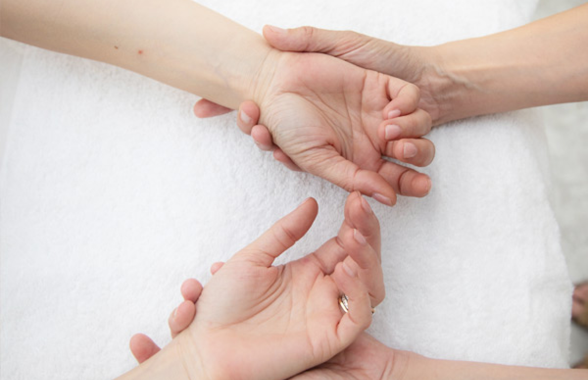 kinesiologia holistica 1 1